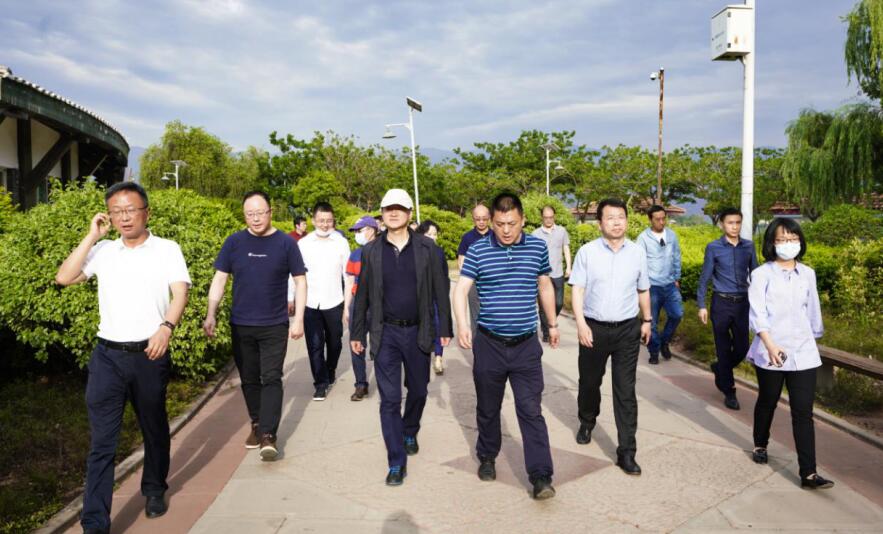 ���껨ʢ�� w66��Լ������w66���Ÿ���ɽ���缯����������Ŀ����Ч��