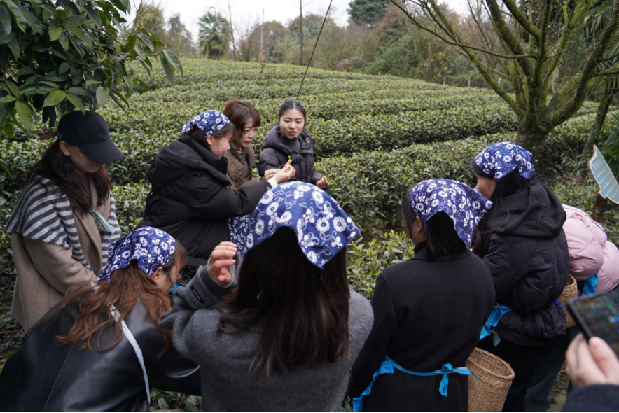 ʡw66ҵ֯չˡͶŮ