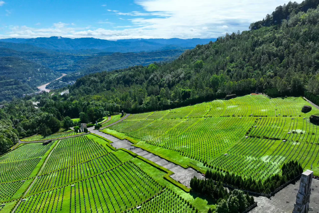 112ecdbe-7e28-4717-889d-a58c41b11835