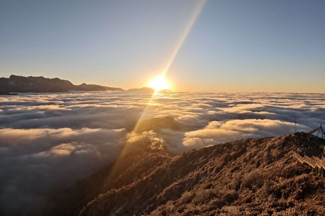 8f20b0d3-869c-4a49-a111-c2c7156f7c93